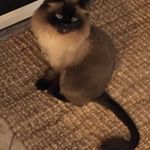 Rick Brand - @rick.brand.1952 - Instagram