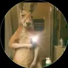 Erick Bravo - @erick.bravo25 - TikTok