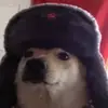 brayrick8 - @brayrick8 - TikTok
