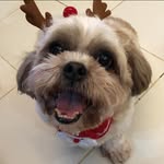 Ian Rick Briones - @ayannotiyan - Instagram
