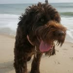 Rick Brown - @rb_and_z - Instagram