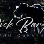 Rick Burgess Photography - @rick_burgess_photography - Instagram