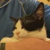 rick bustos - @rick.bustos5 - TikTok