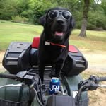 Rick Byrne - @rick.byrne.31 - Instagram