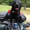 rickbyrne818 - @rickbyrne818 - TikTok