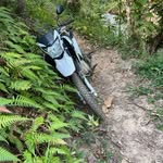 rick.campos� - @rick.campos.1234 - Instagram