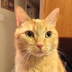 Rick Cannon - @rickcannon57 - Instagram