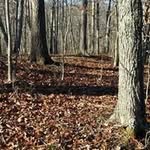Rick Carney - @rd98carney - Instagram