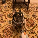 Rick carney - @rickcarney58 - Instagram