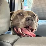 Rick Carruth - @rickcarruthtx - Instagram