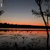 Erick Carver - @erick.carver - TikTok