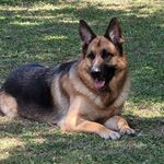 Rick Caswell - @caswellrick - Instagram