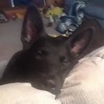 Rick Cates - @rickcates42 - Instagram