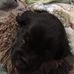 Rick Chamberlain - Facebook