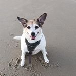 Rick Chamberlain - @rickchamberlainjc - Instagram