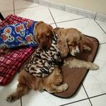Chester&Rick - @_chester_y_rick_ - Instagram
