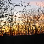 Rick Choate - @rickc1955 - Instagram