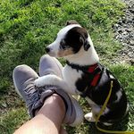 Rick Clausen - @rick.clausen - Instagram
