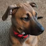Rick Claxton - Facebook