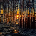 Rick Coenen - @rickcoenen.rc - Instagram