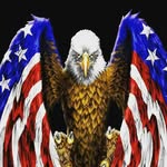 Rick Cole - @rick_cole452 - Instagram