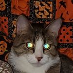 Rick Conard - @rickdeb2222 - Instagram