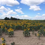 Rick Connor - @condorman64 - Instagram