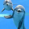 Rick Conti - @rick.conti - TikTok