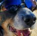 Rick Corbett - Facebook
