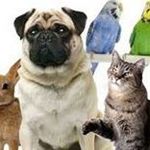 Rick Corbett - @rick040659 - Instagram