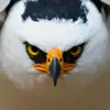 Rick Corley - @rick.corley - TikTok