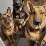 Rick Crain - @rick.crain.35 - Instagram