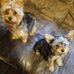 Rick Cronin - Facebook
