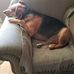Rick Cronin - Facebook