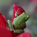 Rick Cummins - @rick8400 - Instagram