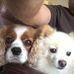Rick Dahl - Facebook