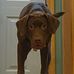 Rick Daley - Facebook