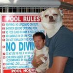 Rick Daley - @daley_rick - Instagram