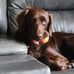 Rick Daley - Facebook