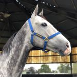 Rick Dangerfield - @vfourty6 - Instagram