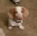 Rick Dangerfield - Facebook