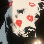 Ricky Puma - @rickydangerfield - Instagram