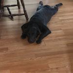 Rich Danner - @firemed2 - Instagram