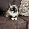 Rick Danner - @rick.danner - TikTok