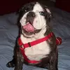 rickdavila07 - @rickdavila07 - TikTok