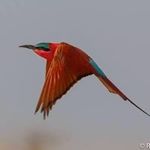 Rick Dekker - @dekker5358 - Instagram