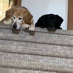 Rick Dekker - @rickd2141 - Instagram