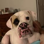 Rick Dellinger - @rick.dellinger.330 - Instagram