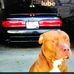 Rick Deshler - Facebook