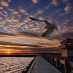 Richard DiStefano - @richard641010 - Instagram
